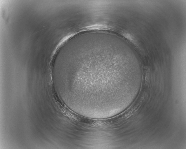 X0000055991358200509162240