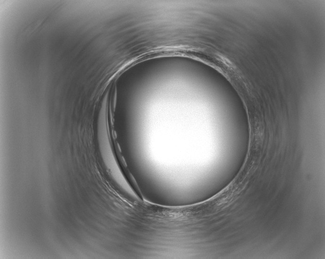 X0000055991361200509162240