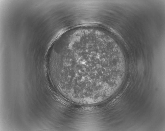 X0000055991362200509162240