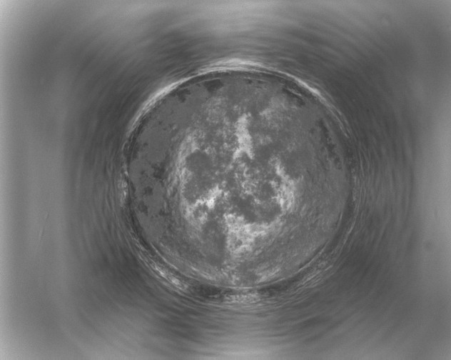 X0000055991363200509162240