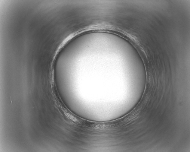 X0000055991366200509162240