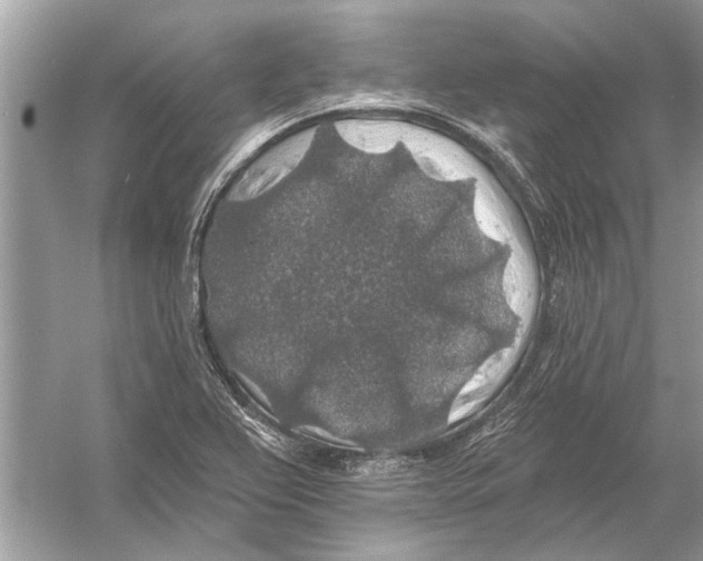 X0000055991367200509162240