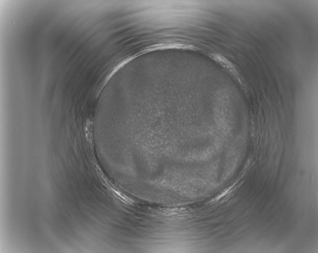 X0000055991369200509162240