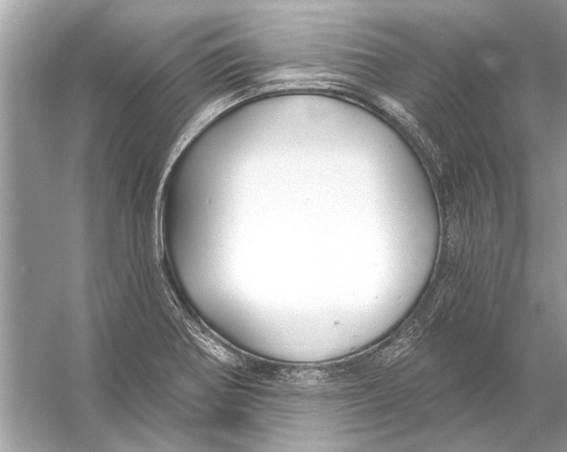 X0000055991370200509162240