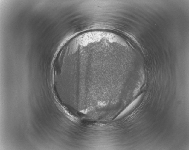 X0000055991371200509162240