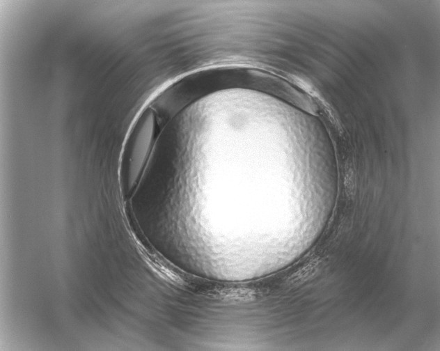 X0000055991372200509162240