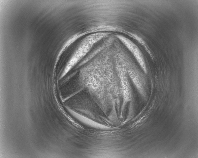 X0000055991373200509162240