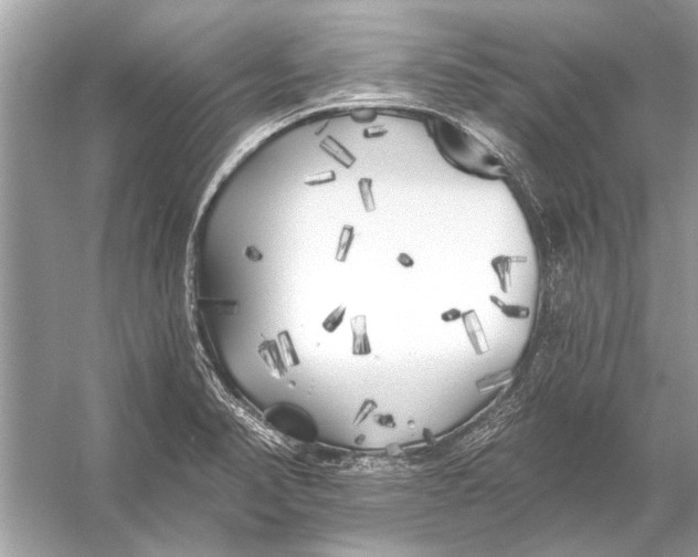 X0000055991374200509162240