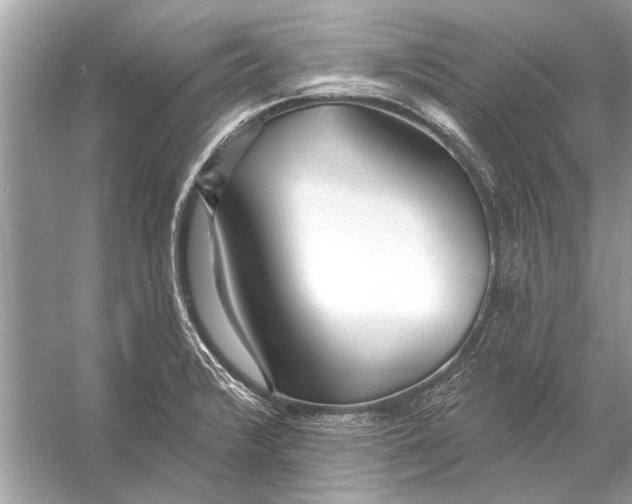 X0000055991376200509162240