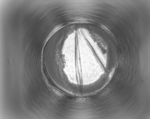 X0000055991378200509162240