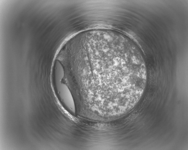 X0000055991379200509162240