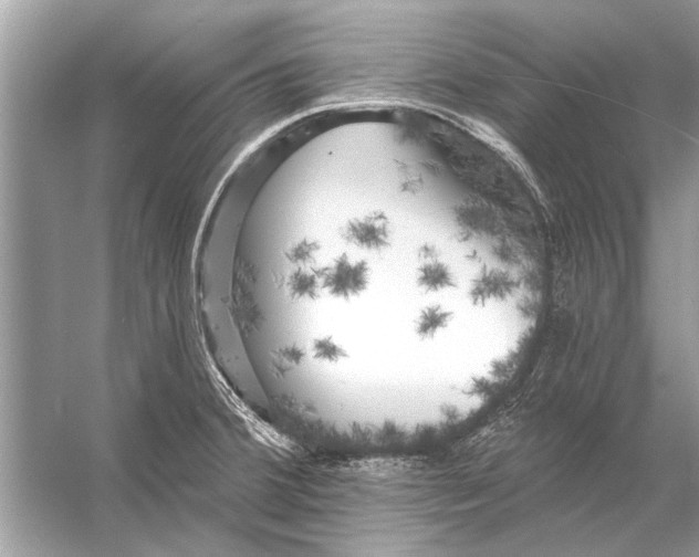 X0000055991380200509162240