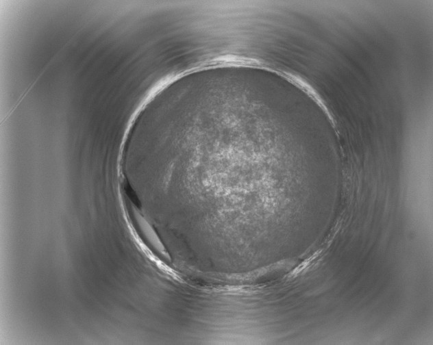 X0000055991381200509162240