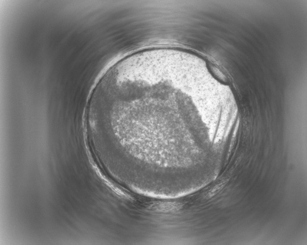 X0000055991382200509162240