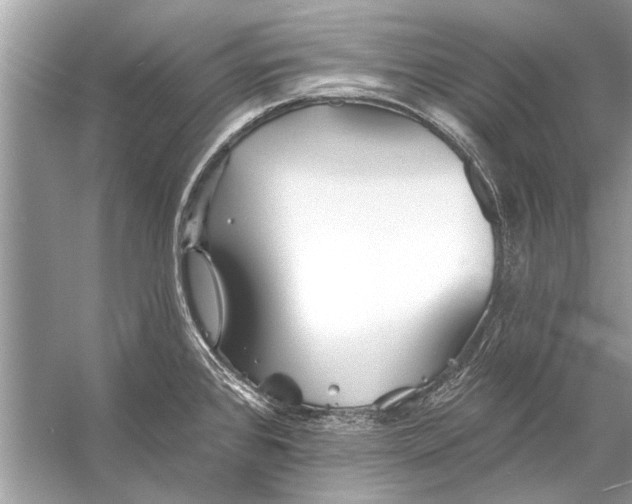 X0000055991384200509162240