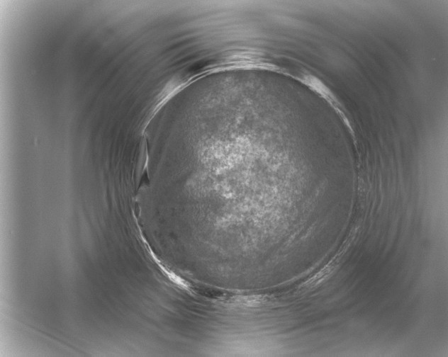 X0000055991385200509162240