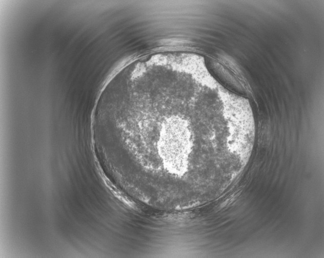 X0000055991386200509162240