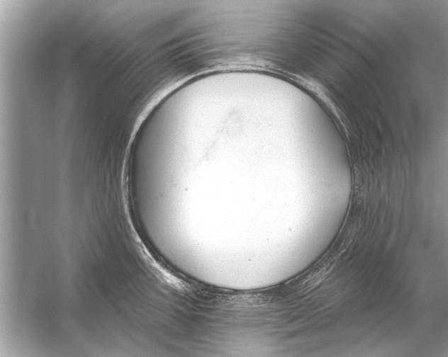 X0000055991387200509162240