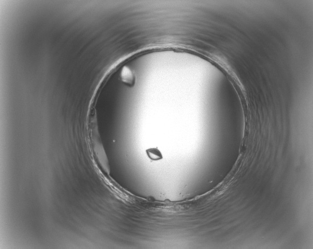 X0000055991388200509162240