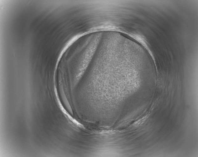 X0000055991389200509162240