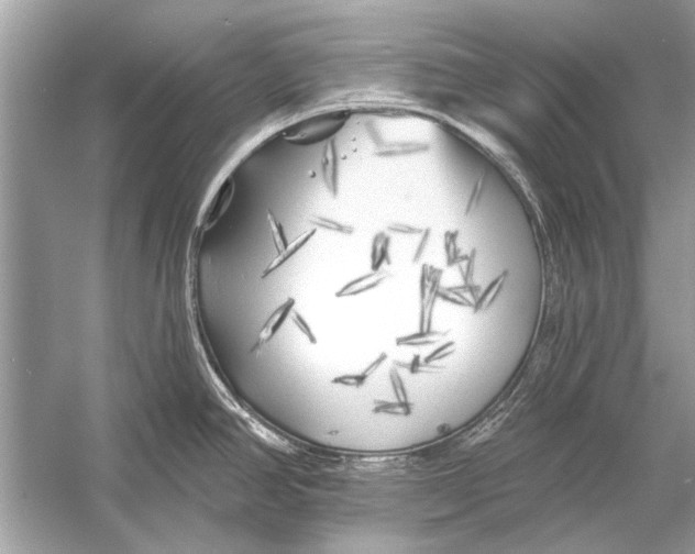 X0000055991390200509162240