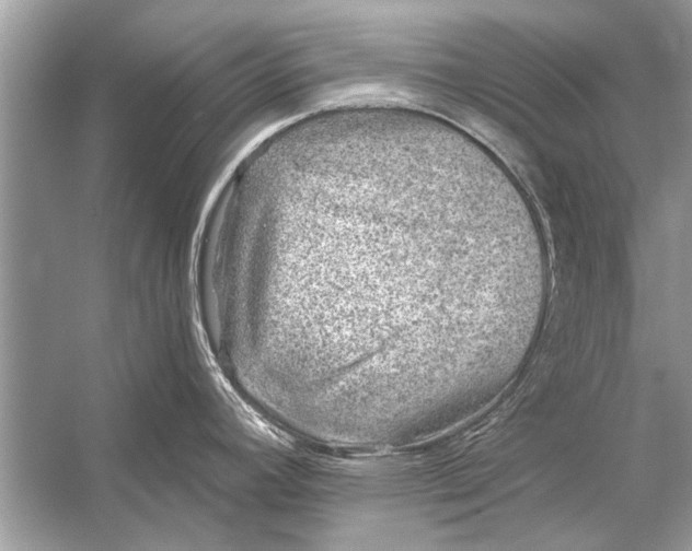 X0000055991392200509162240