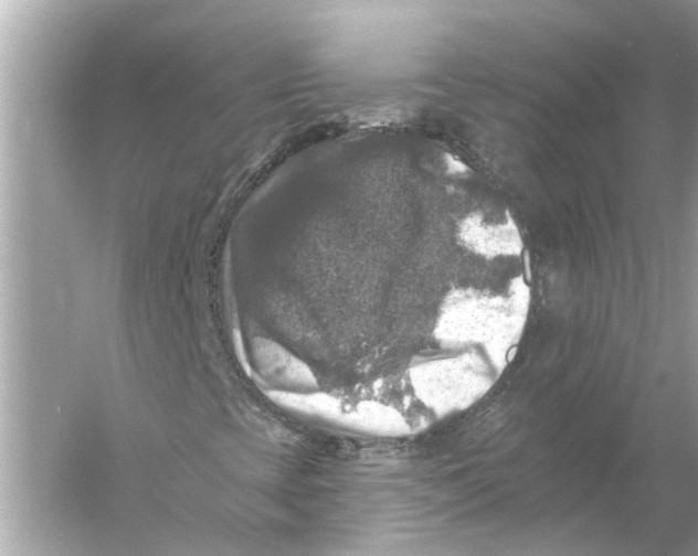 X0000055991393200509162239