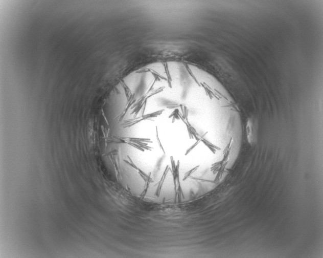 X0000055991395200509162239