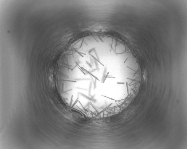 X0000055991396200509162239