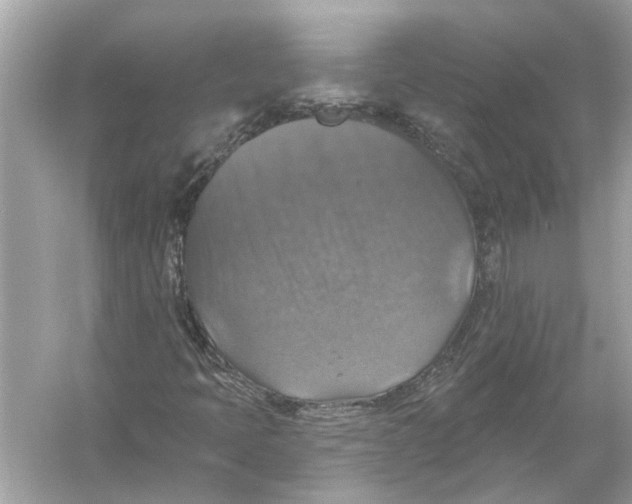 X0000055991397200509162239