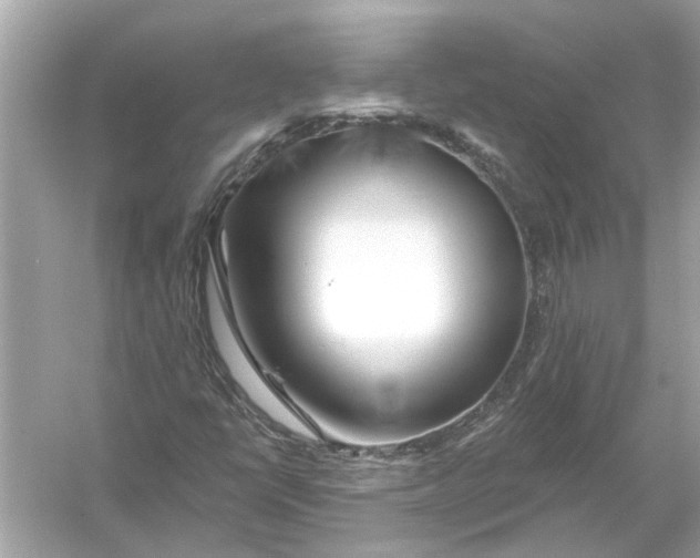 X0000055991398200509162239