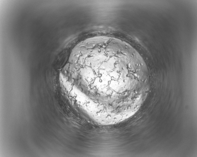 X0000055991399200509162239