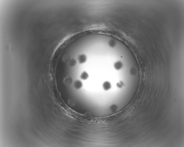 X0000055991400200509162239