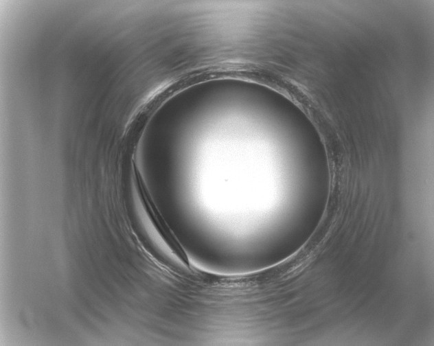 X0000055991402200509162239