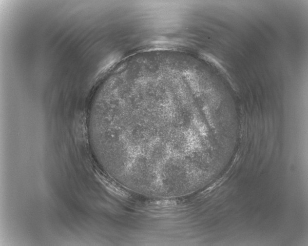 X0000055991403200509162239