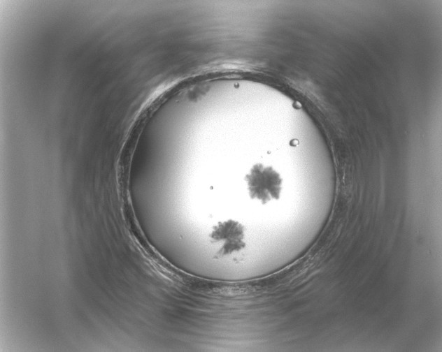 X0000055991404200509162239