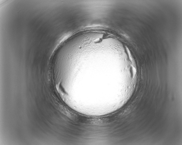 X0000055991405200509162239