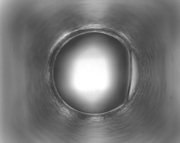 X0000055991406200509162239