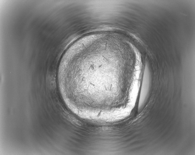 X0000055991409200509162239