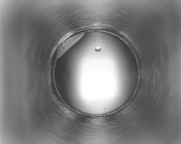 X0000055991410200509162239