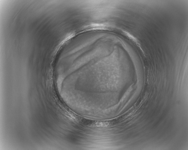 X0000055991411200509162239