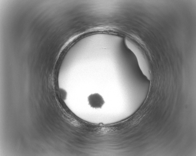 X0000055991412200509162239