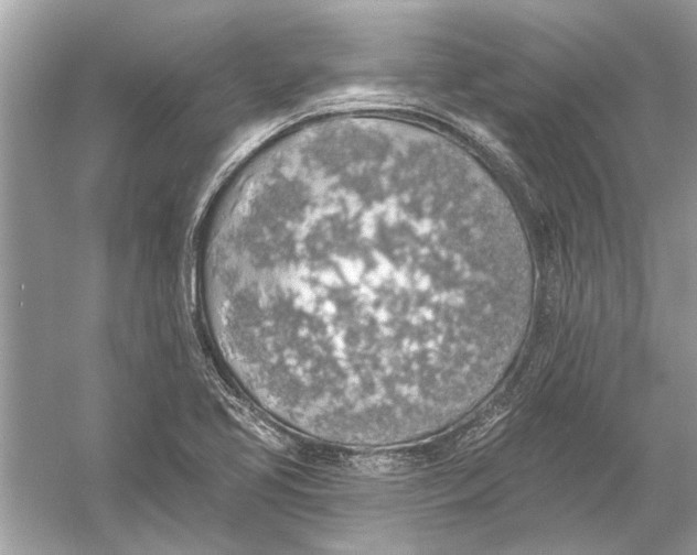 X0000055991413200509162239