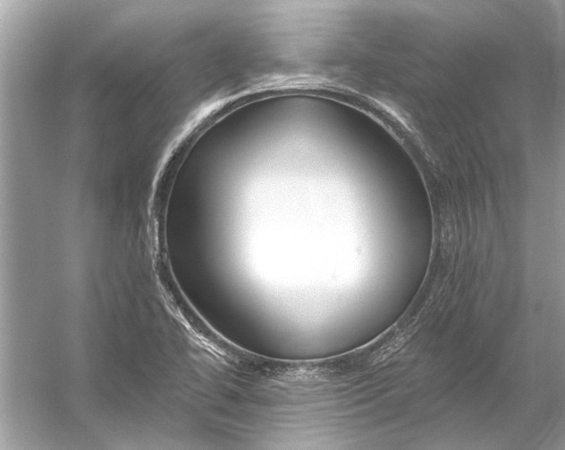 X0000055991414200509162239