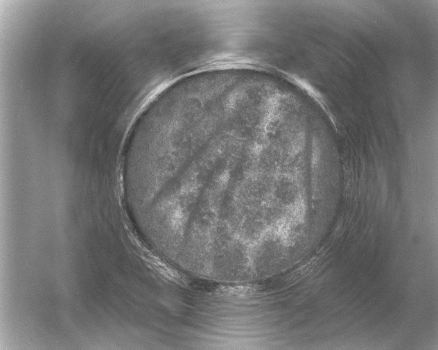 X0000055991415200509162239