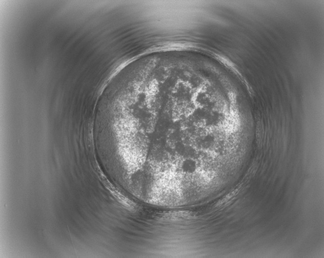 X0000055991417200509162240