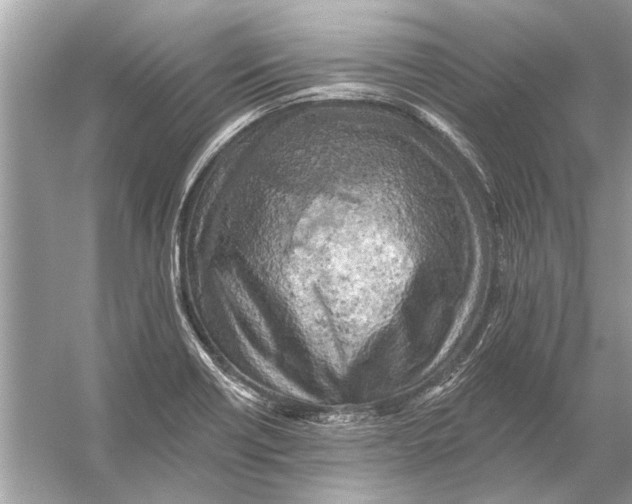 X0000055991418200509162240