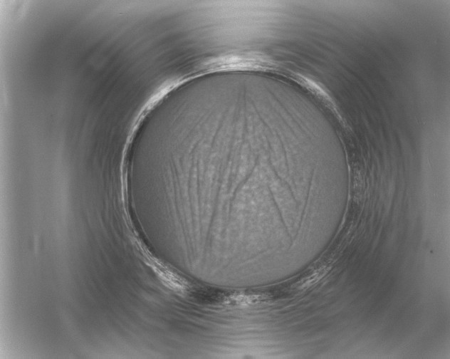 X0000055991419200509162240