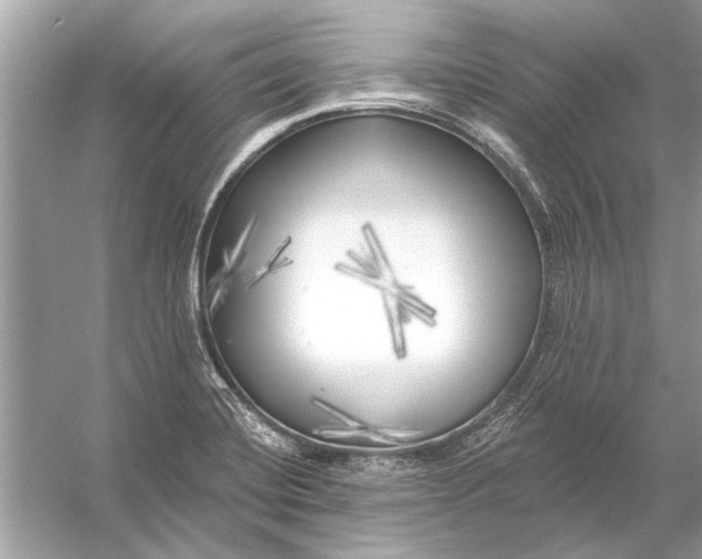 X0000055991420200509162240