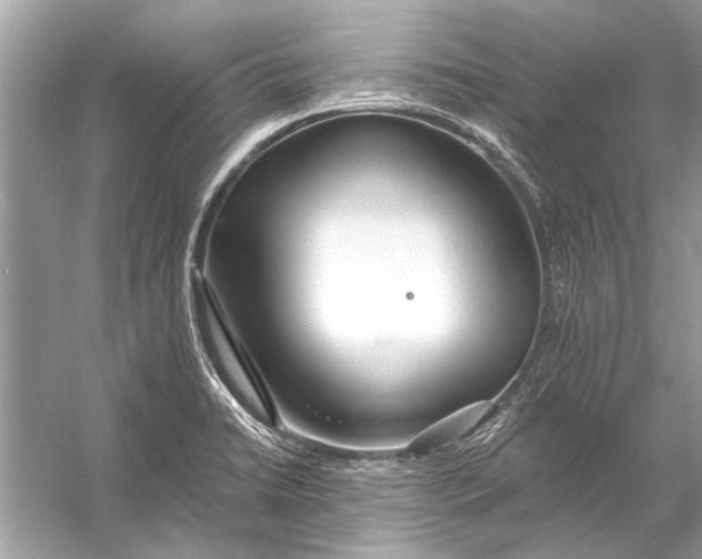 X0000055991422200509162240